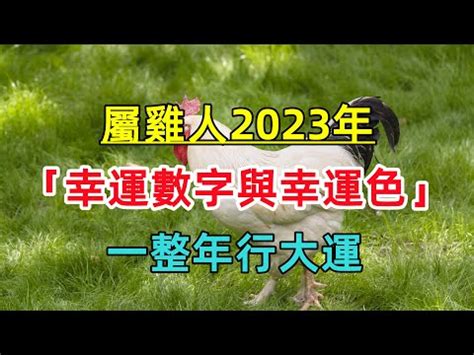 屬雞2023幸運色|2023十二生肖「開運色錢包」推薦！兔、馬拿「綠色。